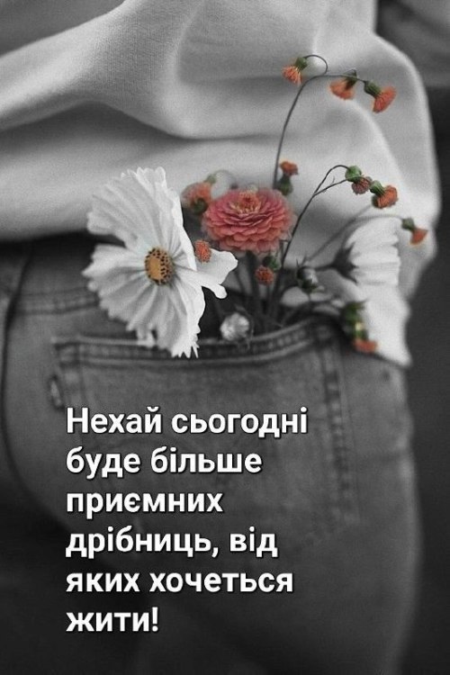 Мудрі слова