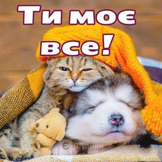 любов