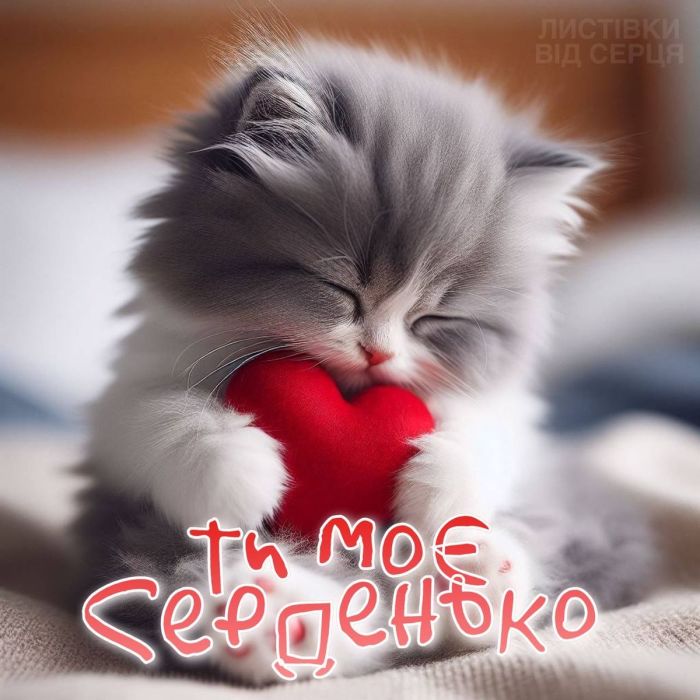 любов
