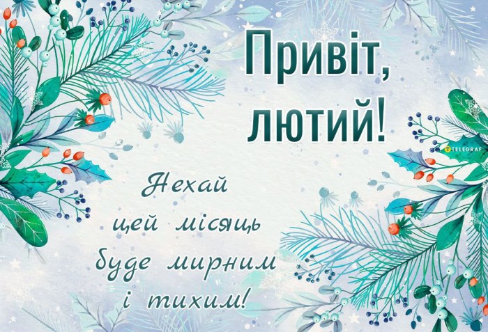зима, лютий 3117