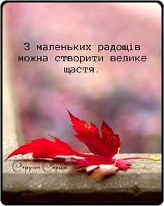 Мудрі слова
