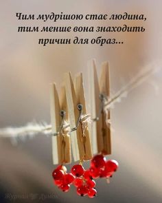 Мудрі слова
