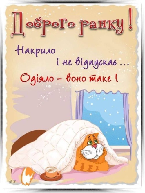 Доброго ранку