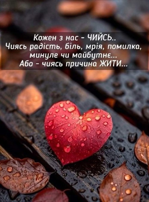 Мудрі слова