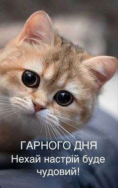 Гарного дня