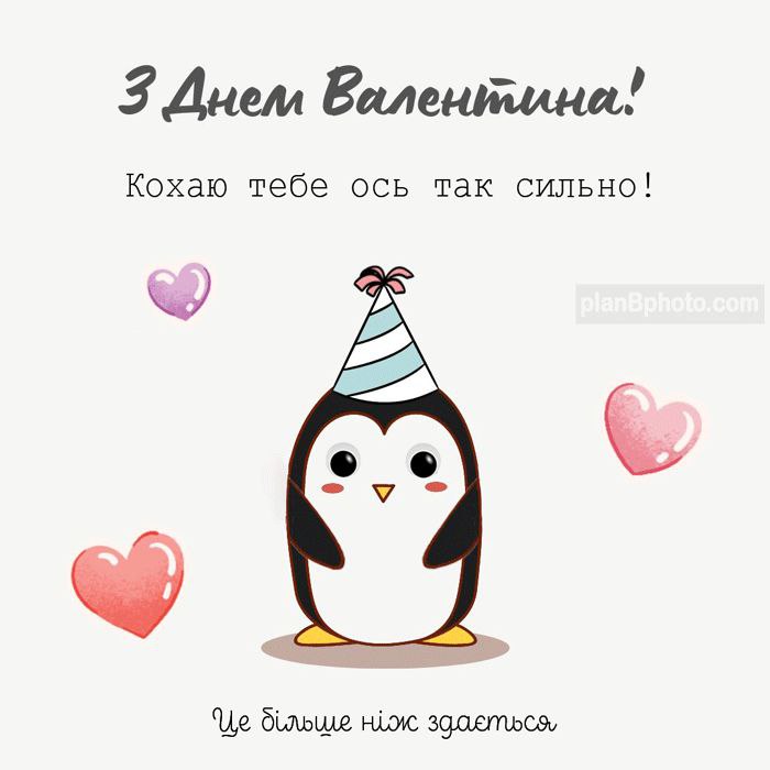 любов, День Святого Валентина, коханим 3242
