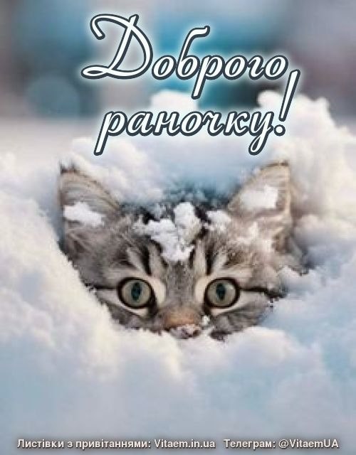 Доброго ранку