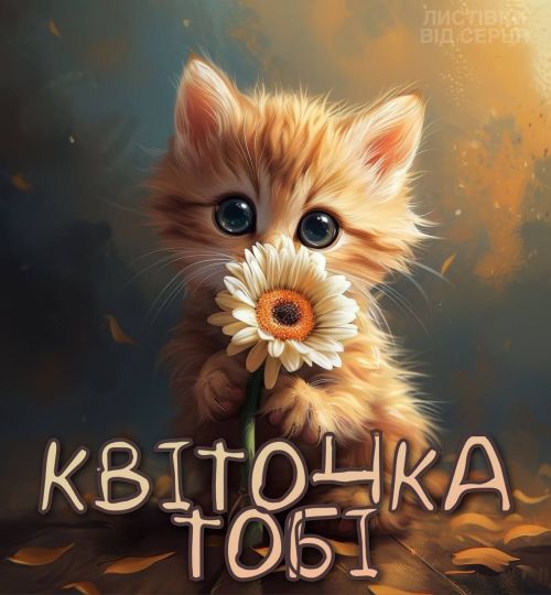 любов