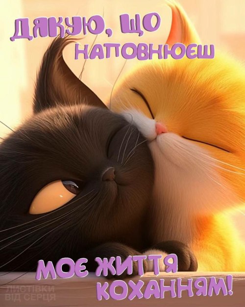 любов