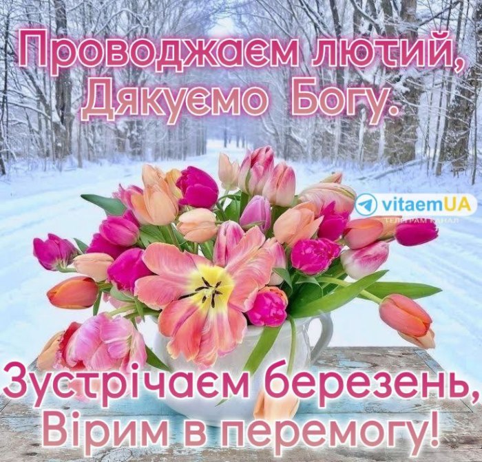 зима, весна 3393