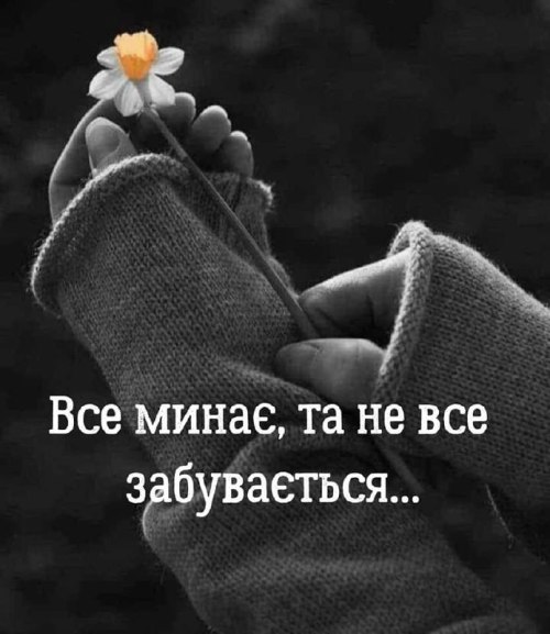 Мудрі слова