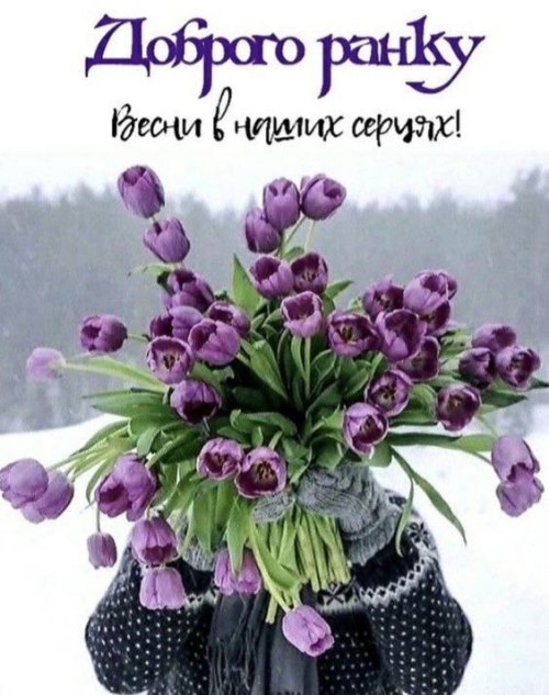 Доброго ранку
