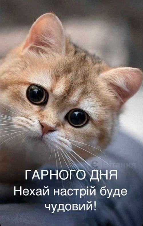 Гарного дня