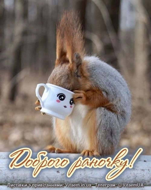 Доброго ранку