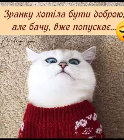 Доброго ранку, прикольні 3504