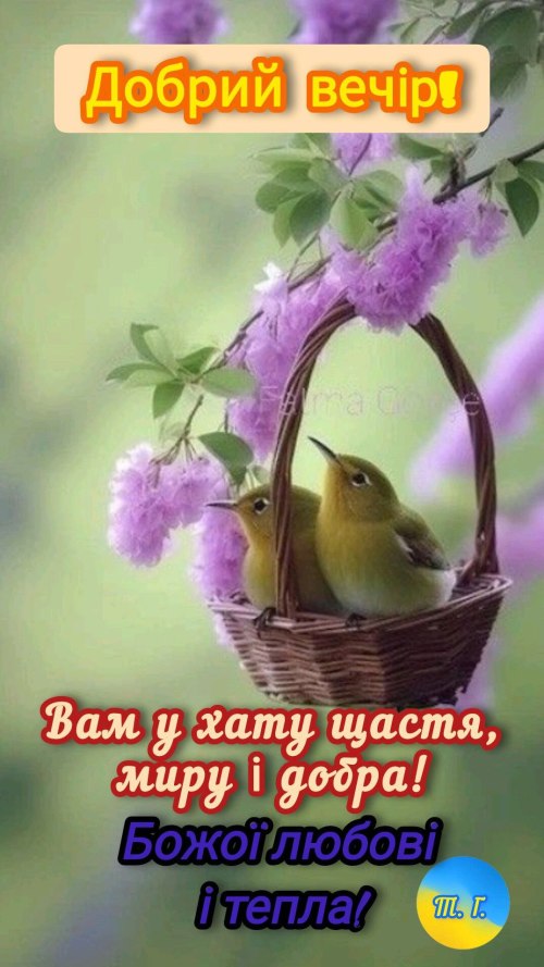 Гарного вечора