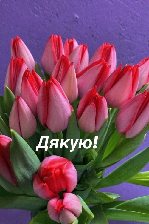 Дякую