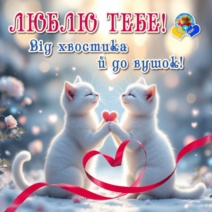 любов