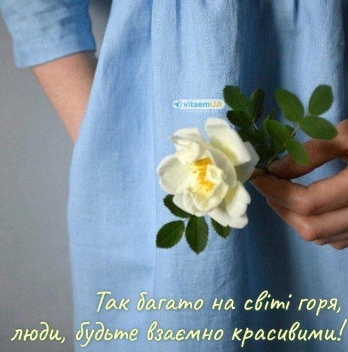 поезія, , Мудрі слова 3571