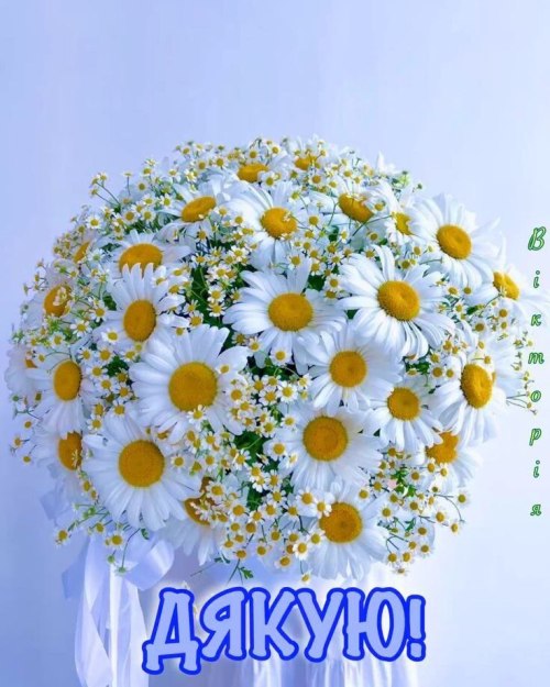 Дякую