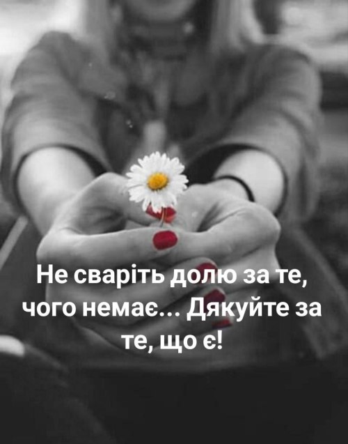 Мудрі слова