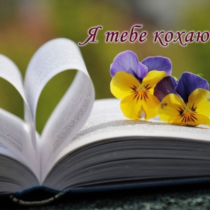 любов