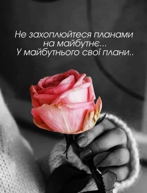 Мудрі слова