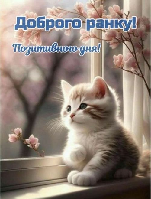 Доброго ранку