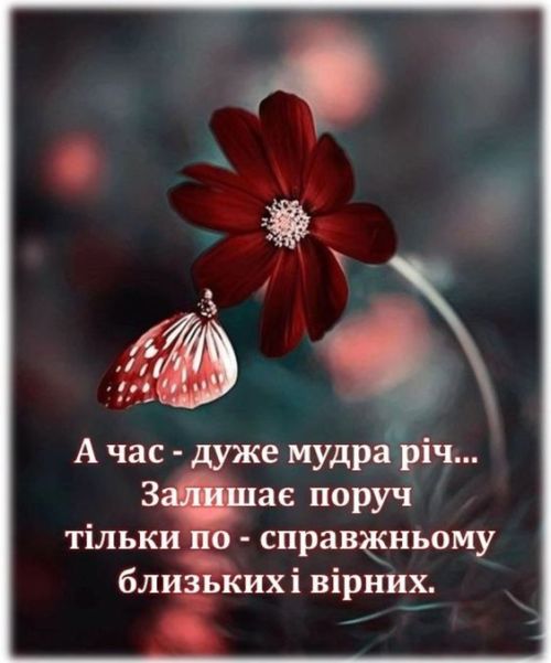 Мудрі слова