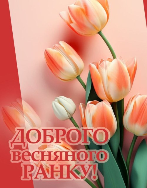 Доброго ранку