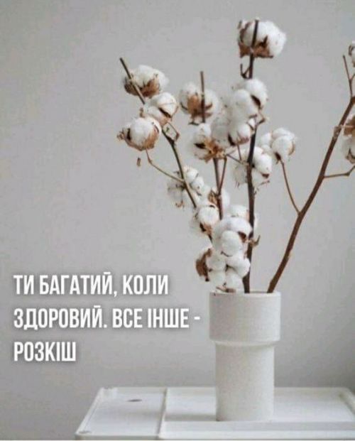 Мудрі слова