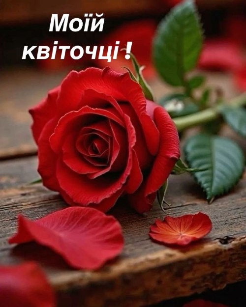 любов