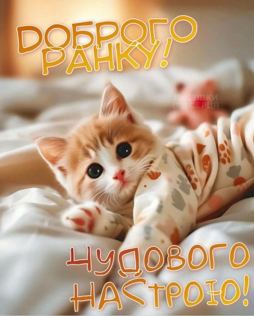 Доброго ранку