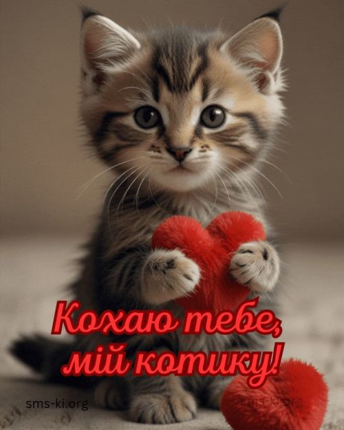 любов