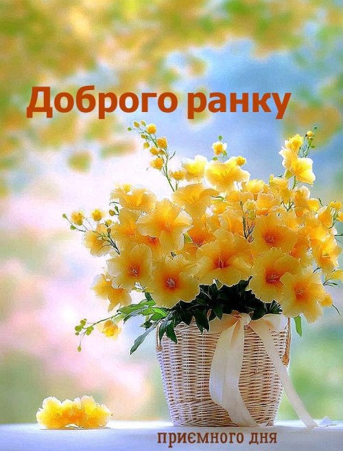 Доброго ранку