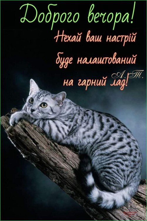 Гарного вечора