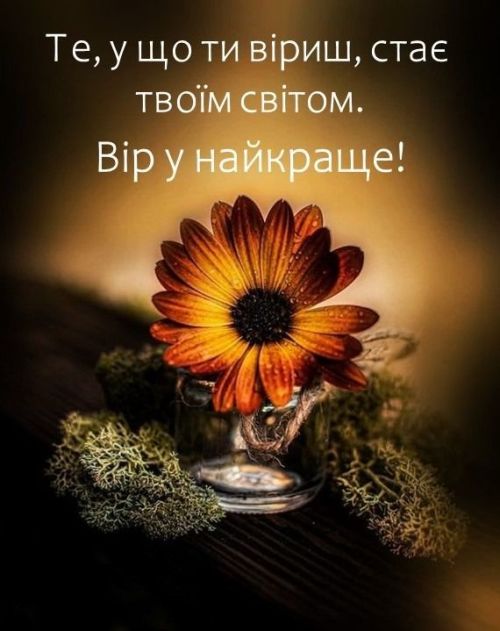 Мудрі слова