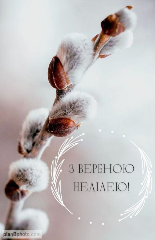 Вербна неділя 3838