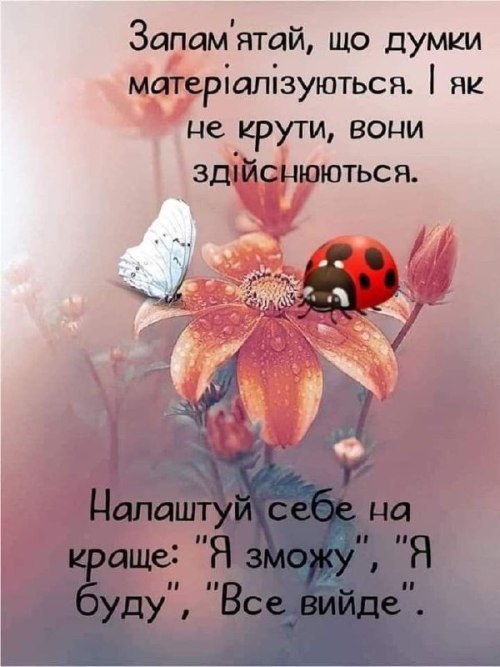 Мудрі слова 3877