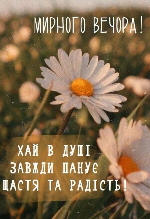 Гарного вечора 3880
