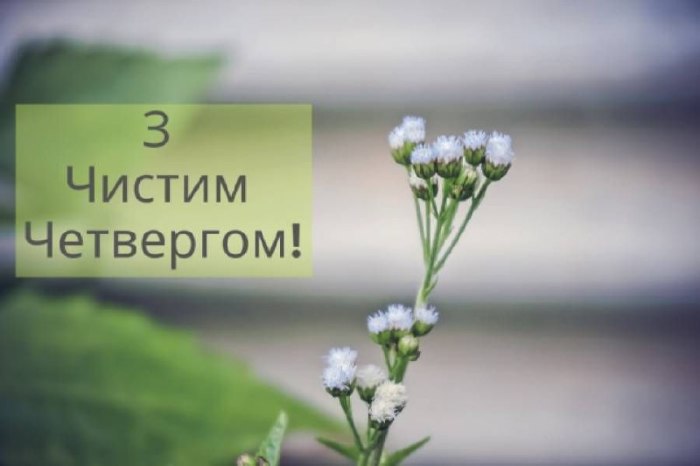 чистий четвер 3884