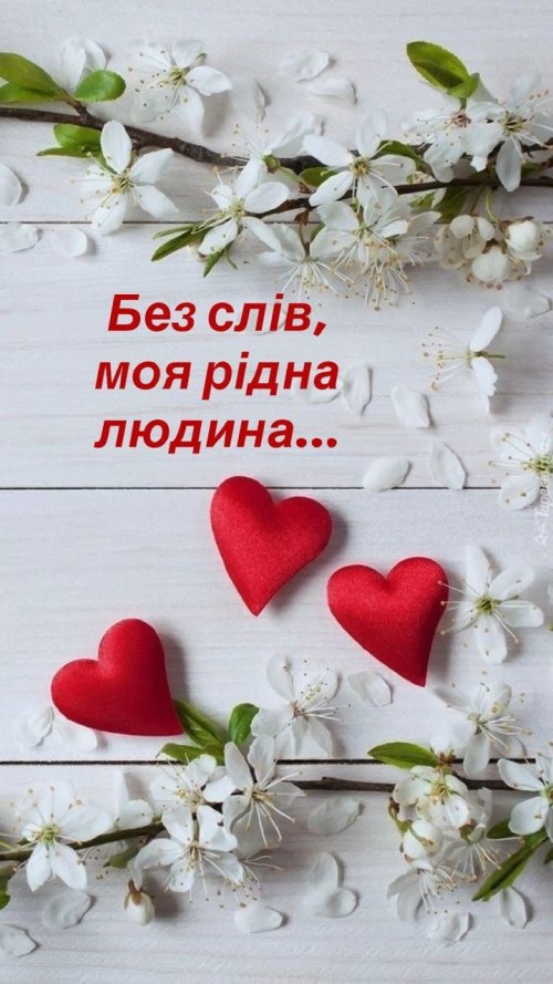 любов