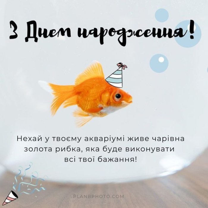 З днем народження