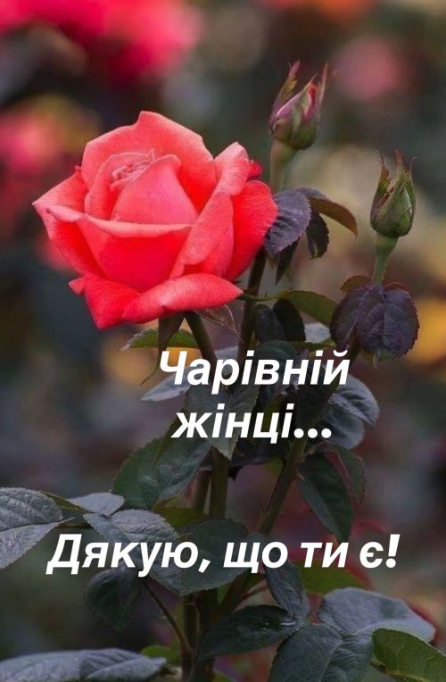 любов