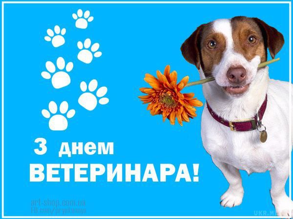 професійне свято, ветенар 3988