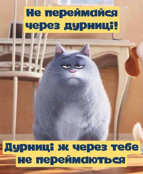 Мудрі слова