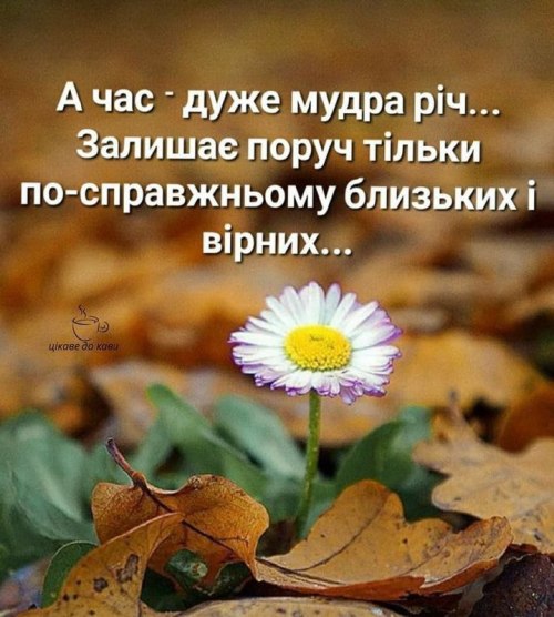 Мудрі слова