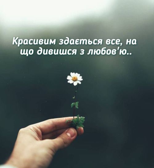 Мудрі слова