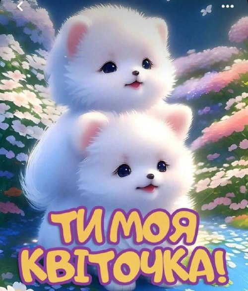 любов 4040