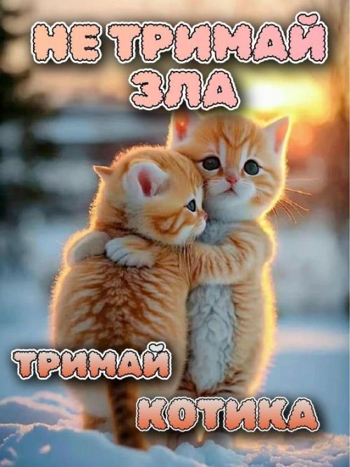 любов 4046